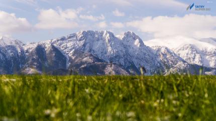 W maju śnieg się zdarzy, to lato dobrze wyparzy!