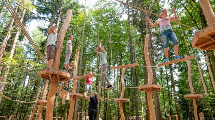 Bachledka szykuje nową atrakcję - Królestwo Lasu!
