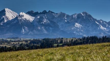 Stacja Kotelnica Białczańska rozpoczyna przygotowanie do lata!