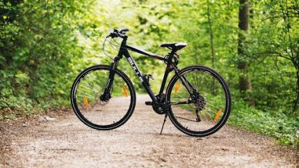 Lato na Podhalu! Jakie atrakcje czekają na stacjach i gdzie można pojeździć rowerem?